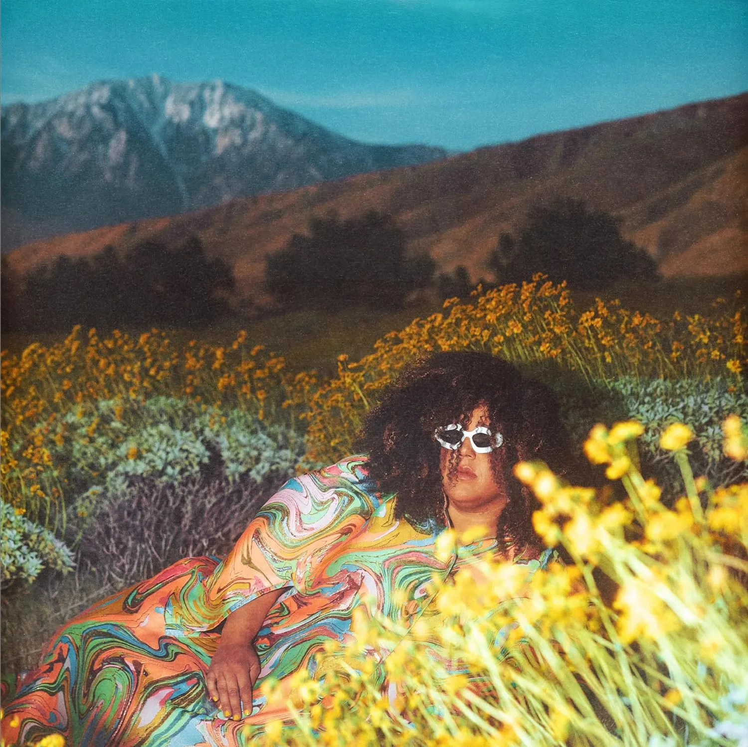 Brittany Howard - What Now [VINYL]