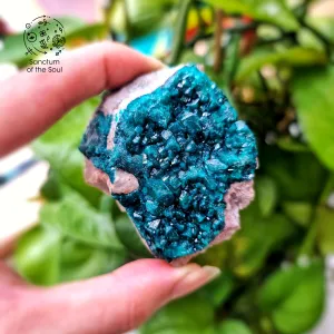 Dioptase on Matrix