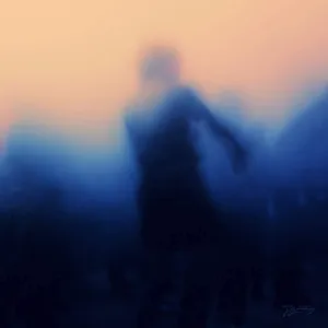 Love   Light [VInyl]