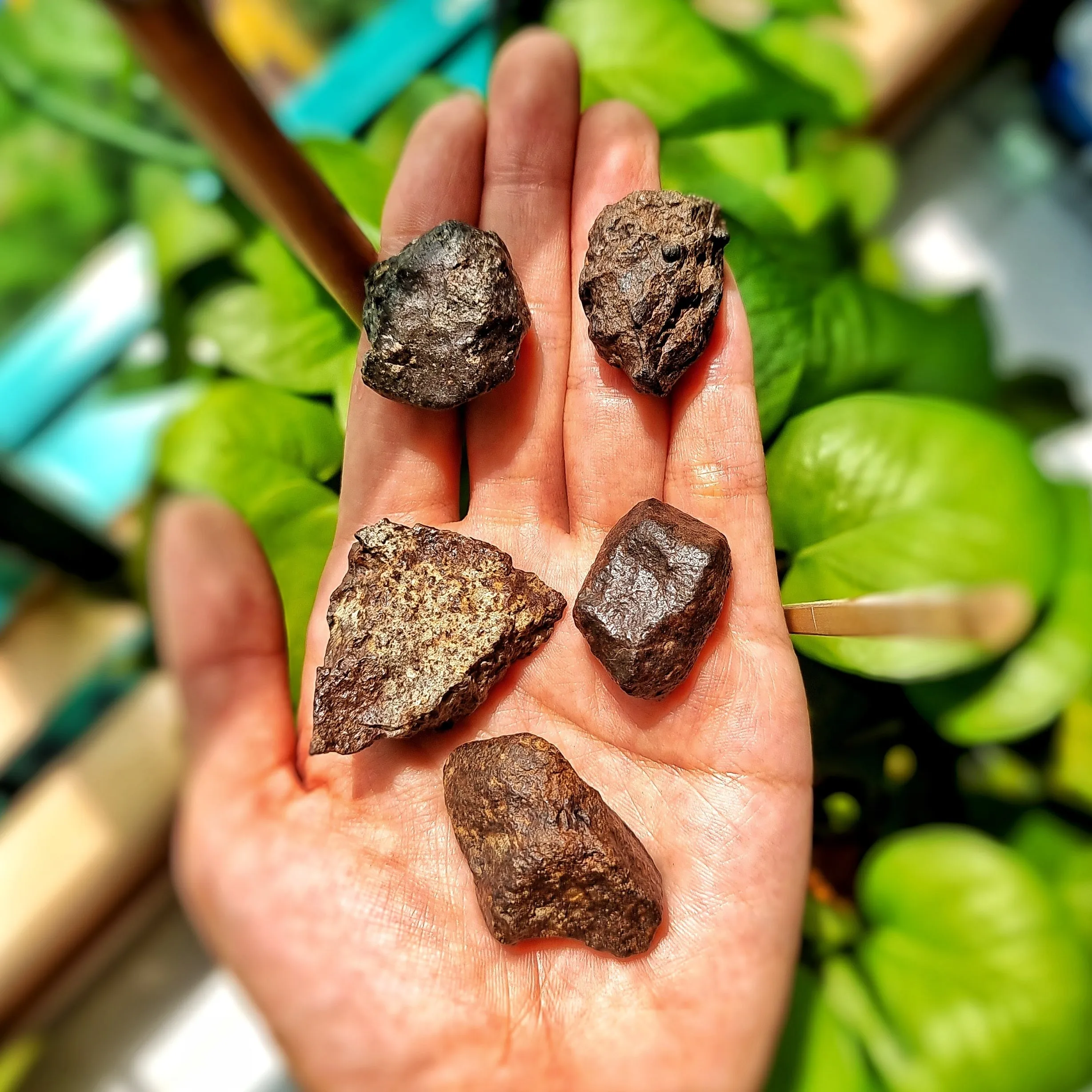 Meteorite - Chondrite Restock