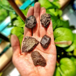 Meteorite - Chondrite Restock
