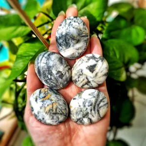 Pinolith Palm Stone (Canada)
