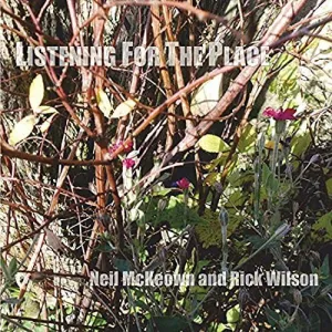 Rick Wilson & Neil McKeown - Listening For The Place [Audio CD]